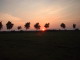 Thumb_003